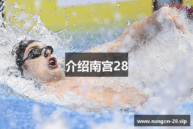介绍南宫28